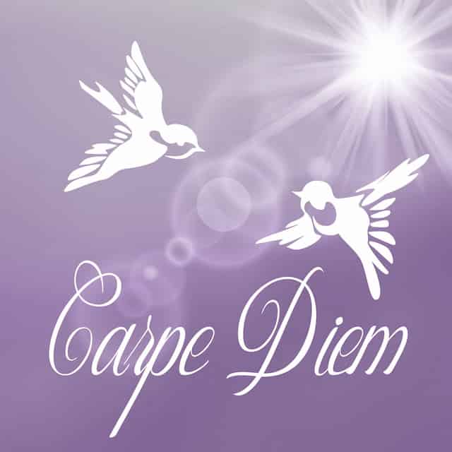 Carpe Diem - How to Navigate through a fearful situation