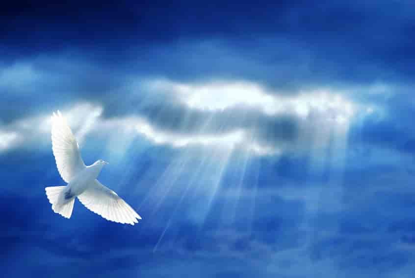 White rays of Divine light penetrating a blue cloudy sky with flying dove of Divine Peace