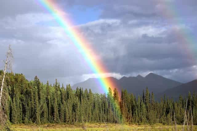 Rainbow with Forest, Mountain and Lake