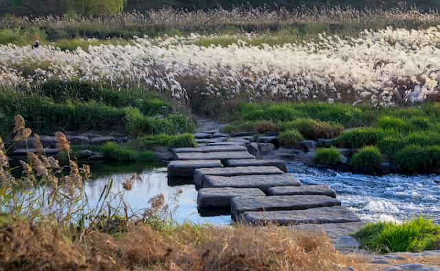 Stepping Stone Path Beyond Our Current Circumstances