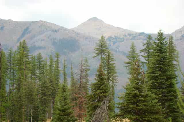 Buck Peak in Swan Valley