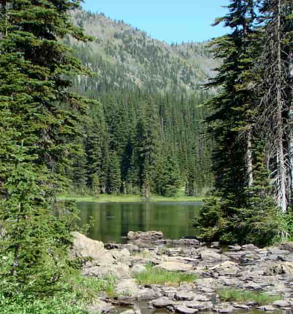Paradise Lake Nestled in the Forest and Mountains while spending time in mother nature