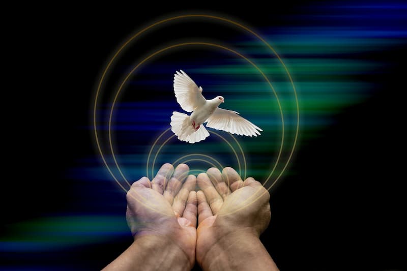 Free and Released Dove of Peace and Fulfillment