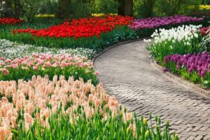 Spring Energies garden of colorful flowers